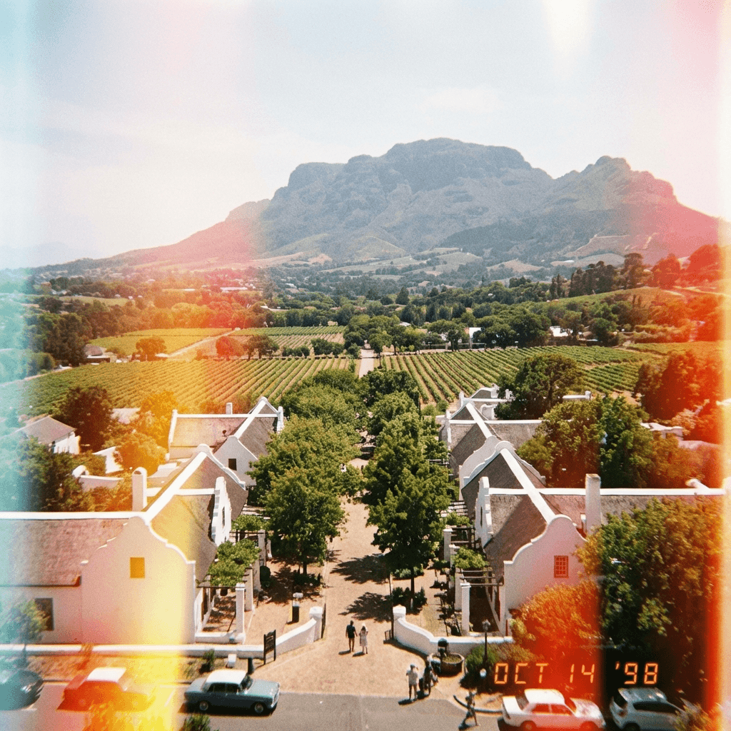 Aerial view of Constantia in the Cape Town suburbs